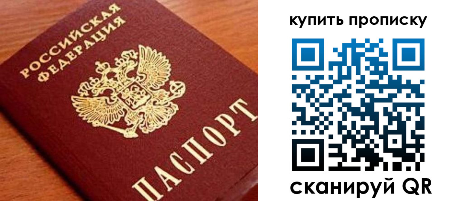 прописка поиск в Волгодонске